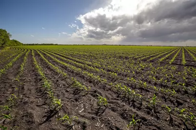 Tbd Sh 95, Taylor, TX 76574 - Photo 9
