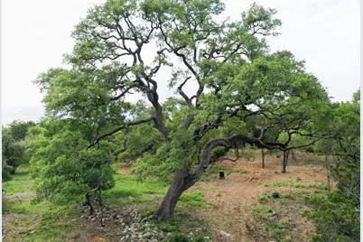 11916 Jim Bridger Drive, Austin, TX 78737 - Photo 7