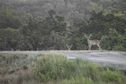 3777 Middle Creek Road, Blanco, TX 78606 - Photo 33