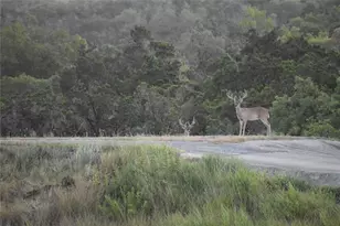 3777 Middle Creek Rd, Blanco, TX 78606 - Photo 33