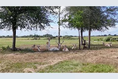 Tbd Watterson Rd, Red Rock, TX 78662 - Photo 5