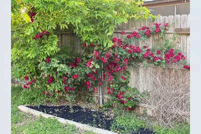 12106 Grey Fawn Path, Austin, TX 78750 - Photo 5