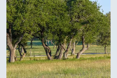 Tbd Mount Sharp Rd, Wimberley, TX 78676 - Photo 5