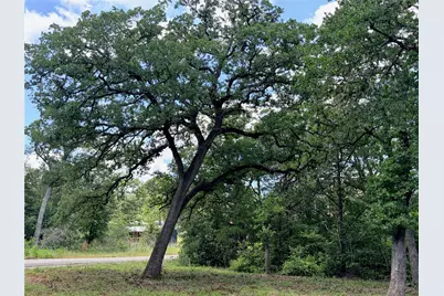 Lots-90/91 Arapaho Drive, Smithville, TX 78957 - Photo 7