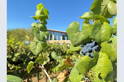 9361 W US Highway 290 #Lantana, Hye, TX 78635 - Photo 39