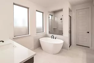 172 Basket Flower Loop, Kyle, TX 78640 - Photo 9