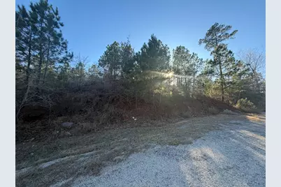 Lot 181 Keo Kea Court, Bastrop, TX 78602 - Photo 15