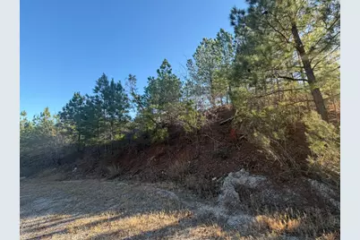 Lot 181 Keo Kea Court, Bastrop, TX 78602 - Photo 13