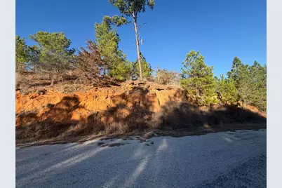 Lot 181 Keo Kea Court, Bastrop, TX 78602 - Photo 9