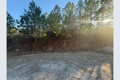 Lot 181 Keo Kea Court, Bastrop, TX 78602 - Photo 11