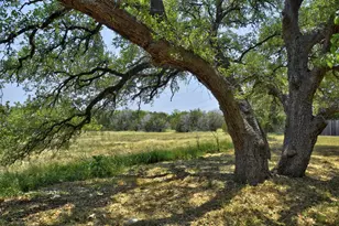 134 Narrows Rd, Blanco, TX 78606 - Photo 33