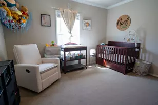 142 Triangle Acres, Cedar Creek, TX 78612 - Photo 11