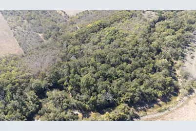 20181 Janak Road, Coupland, TX 78615 - Photo 7