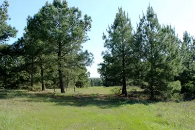 Tbd Crafts Prairie Road, Bastrop, TX 78602 - Photo 35