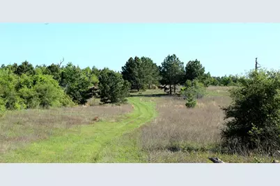 Tbd Crafts Prairie Road, Bastrop, TX 78602 - Photo 33