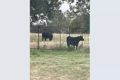 203 Zuma Drive, Liberty Hill, TX 78642 - Photo 21