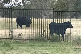 203 Zuma Dr, Liberty Hill, TX 78642 - Photo 21