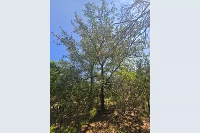 3301 Constitution Drive, Lago Vista, TX 78645 - Photo 7