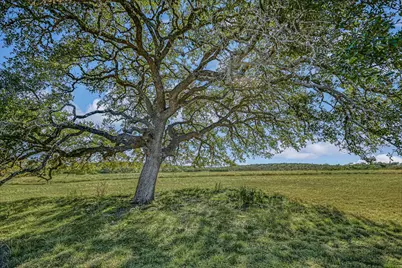4698 Fischer Store Road, Wimberley, TX 78676 - Photo 3