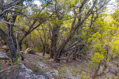 0 Stagecoach Ranch Loop, Dripping Springs, TX 78620 - Photo 31