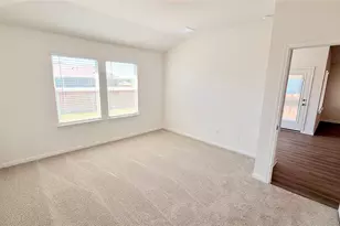 248 Texas Agate Dr, Kyle, TX 78640 - Photo 3