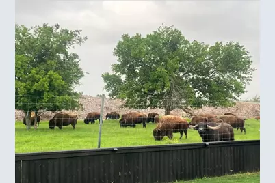 11305 Sentinel Drive, Austin, TX 78747 - Photo 3