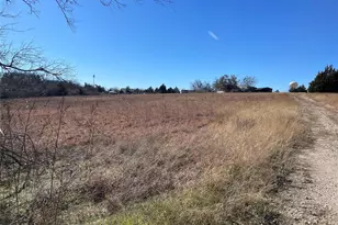 333 Spring Valley St, Hutto, TX 78634 - Photo 11