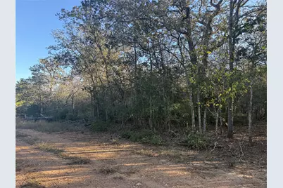 Tbd Bali Hai Lane, Bastrop, TX 78602 - Photo 7