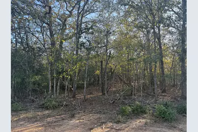 Tbd Bali Hai Lane, Bastrop, TX 78602 - Photo 9