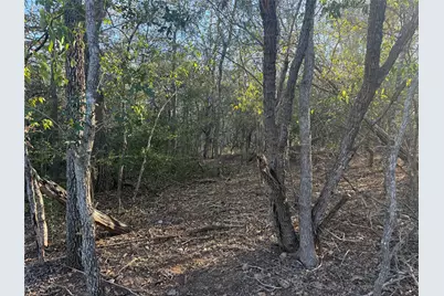 Tbd Bali Hai Lane, Bastrop, TX 78602 - Photo 5