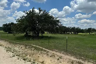 Tract 10B-3 Miller Creek, Briggs, TX 78608 - Photo 5