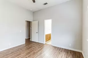 313 Caladium Dr, Georgetown, TX 78626 - Photo 17