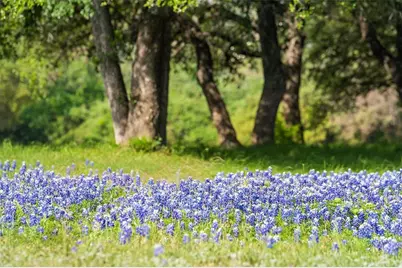 27132 Founders Place, Spicewood, TX 78669 - Photo 11
