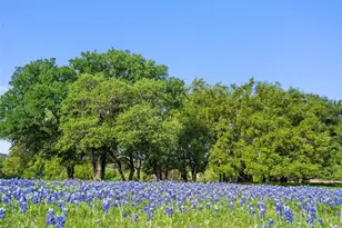 27132 Founders Pl, Spicewood, TX 78669 - Photo 1