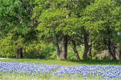 27132 Founders Place, Spicewood, TX 78669 - Photo 13