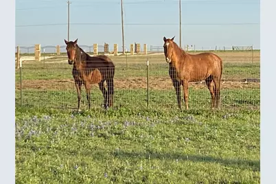 3083 Hwy 138, Florence, TX 76527 - Photo 27