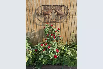 3083 Hwy 138, Florence, TX 76527 - Photo 25