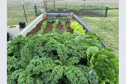 3083 Hwy 138, Florence, TX 76527 - Photo 21