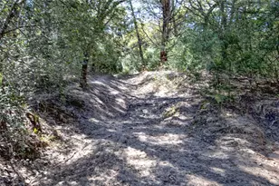 3550 Co Rd 387, Hallettsville, TX 77964 - Photo 7