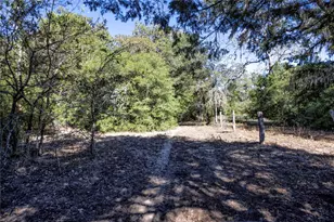 3550 Co Rd 387, Hallettsville, TX 77964 - Photo 5