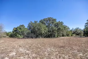 3550 Co Rd 387, Hallettsville, TX 77964 - Photo 17