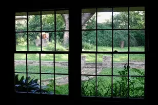 6603 Vine St, Austin, TX 78757 - Photo 9