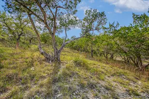 707 Deer Lake Rd, Wimberley, TX 78676 - Photo 31