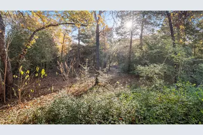 315 Arbors Circle, Elgin, TX 78621 - Photo 35