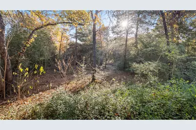 315 Arbors Circle, Elgin, TX 78621 - Photo 37