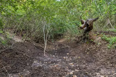 9611 Wilke Road, Kingsbury, TX 78638 - Photo 23