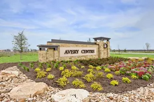 2058 Alice Jay Wy, Round Rock, TX 78665 - Photo 11