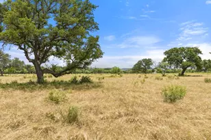 0 Golden Meadow, Johnson City, TX 78636 - Photo 1