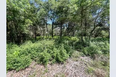 Tbd Phillips Street Phillips Street W, Lexington, TX 78947 - Photo 17