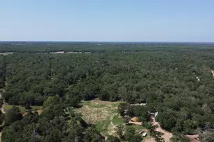 1085 Private Rd 3063, Lexington, TX 78947 - Photo 15